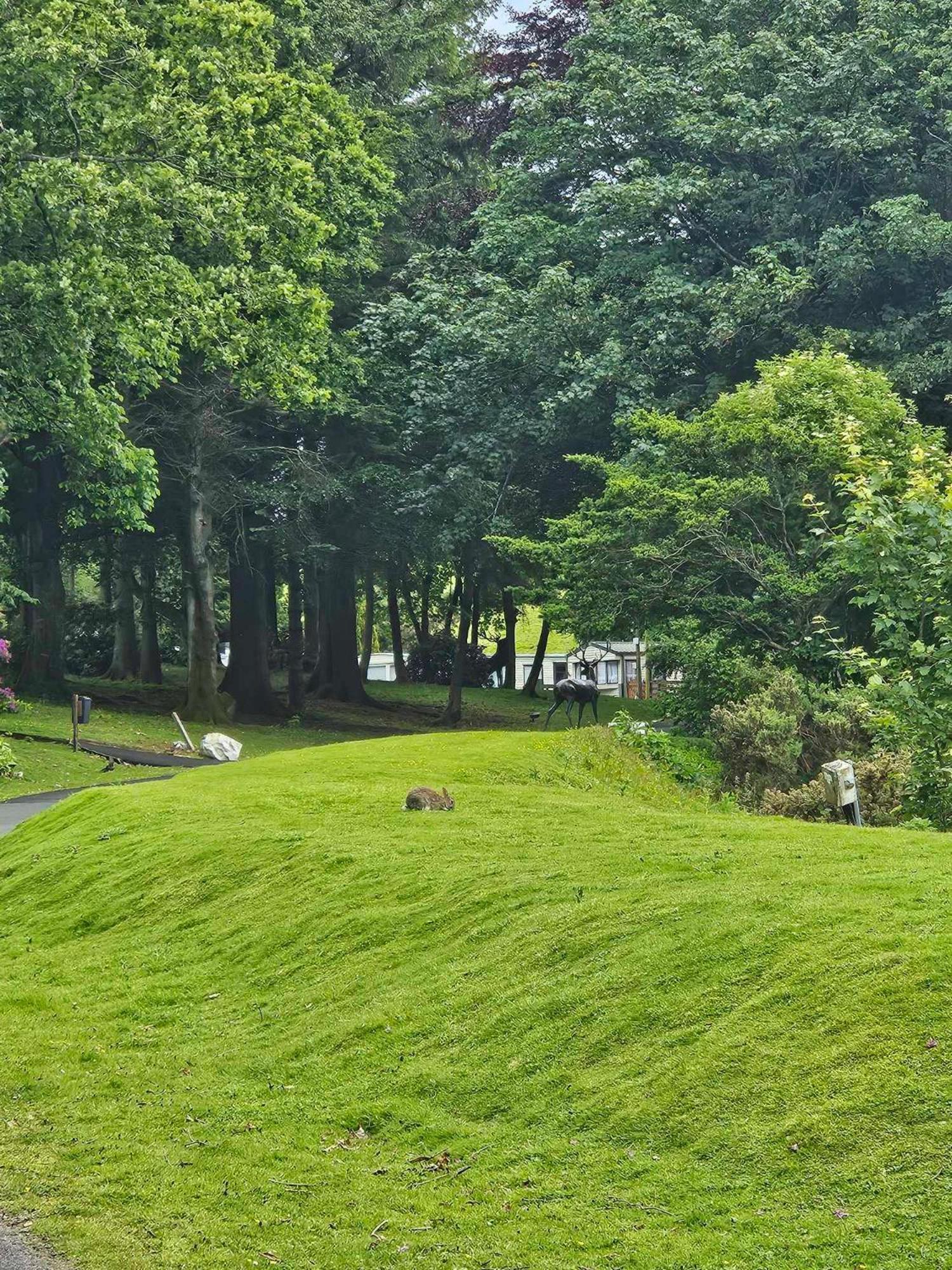 The Sunny Bunny Holiday Home Ballantrae Kültér fotó